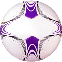 Colour & Black Panel Promotional Soccer Ball Purple-Black